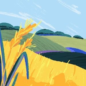 Meet your Posher, Jodi